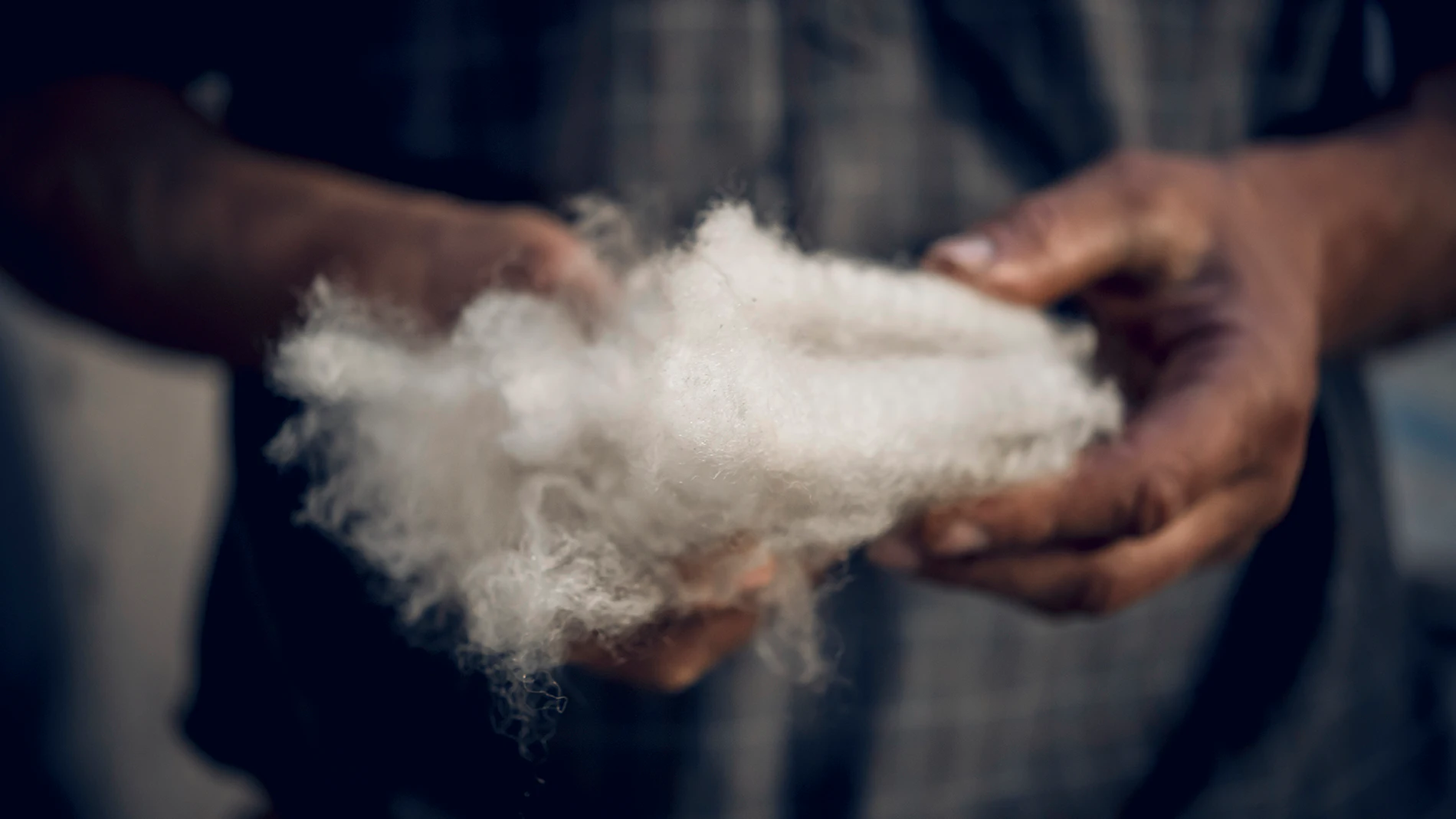 Benefits of Wool - Wools of New Zealand