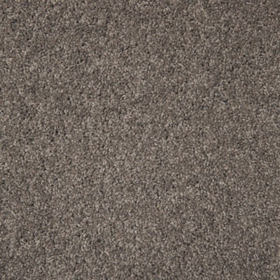 Koromiko Swatch