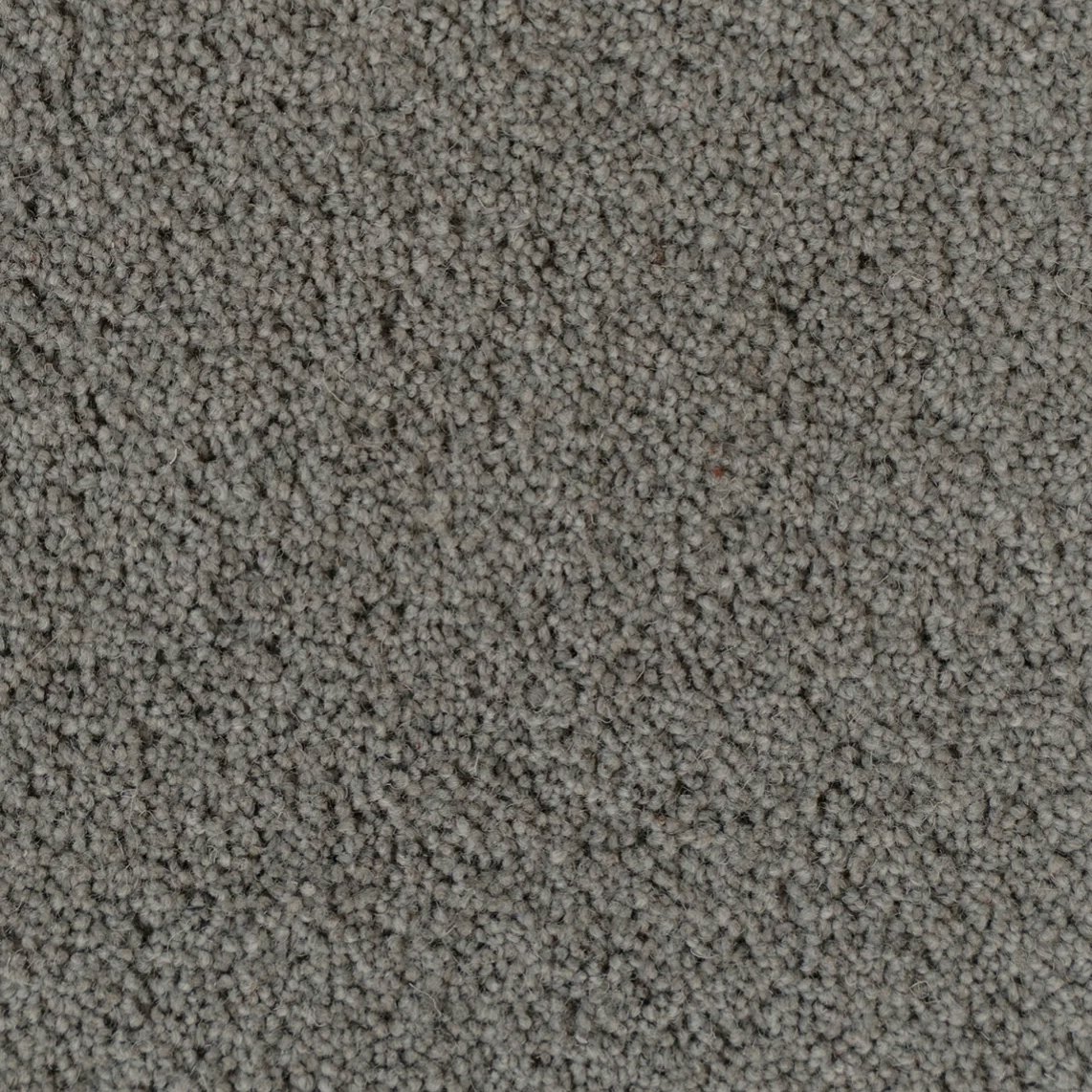 Avenal Swatch