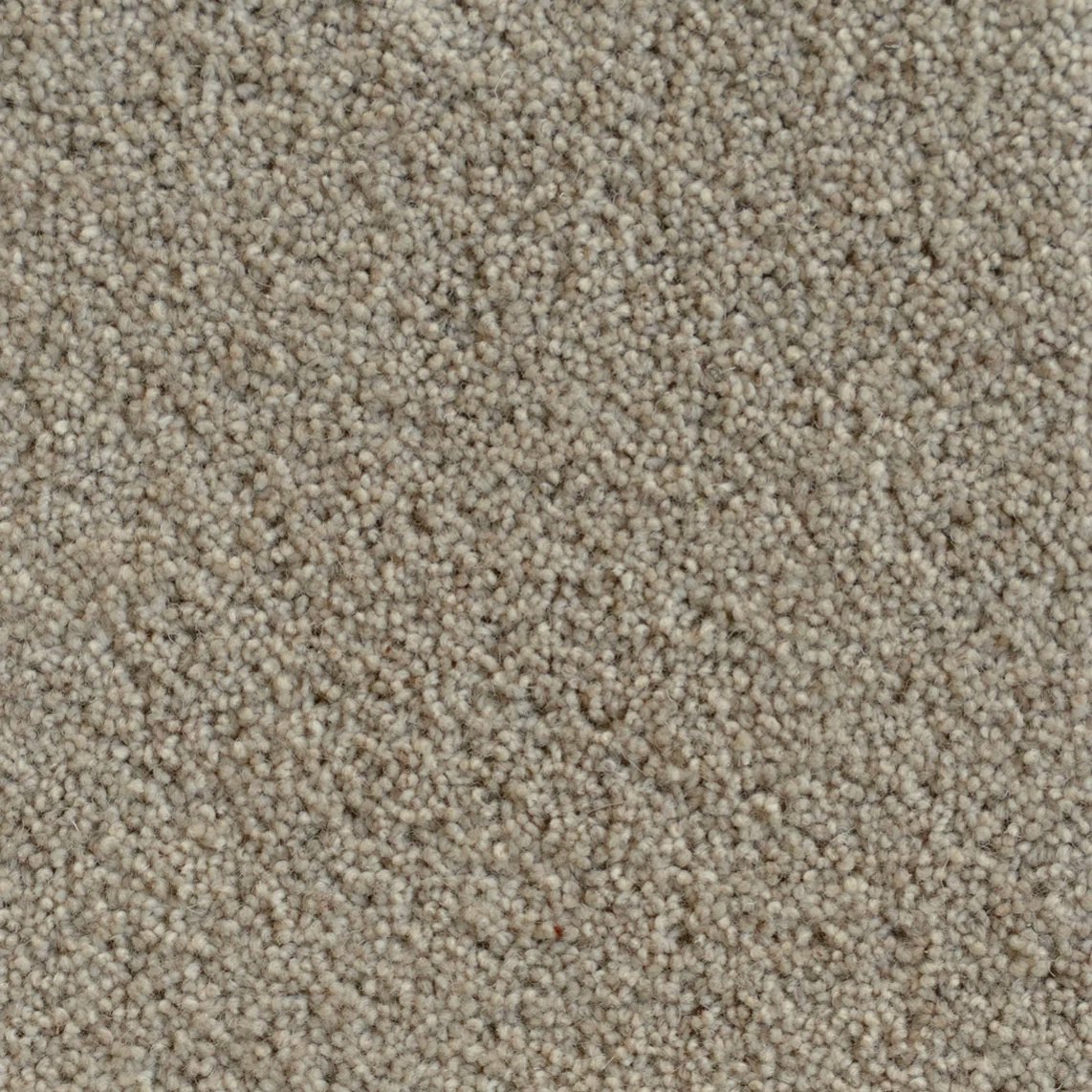 Hillsbrook Swatch
