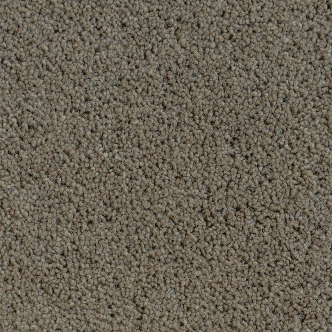 Meldrum Swatch