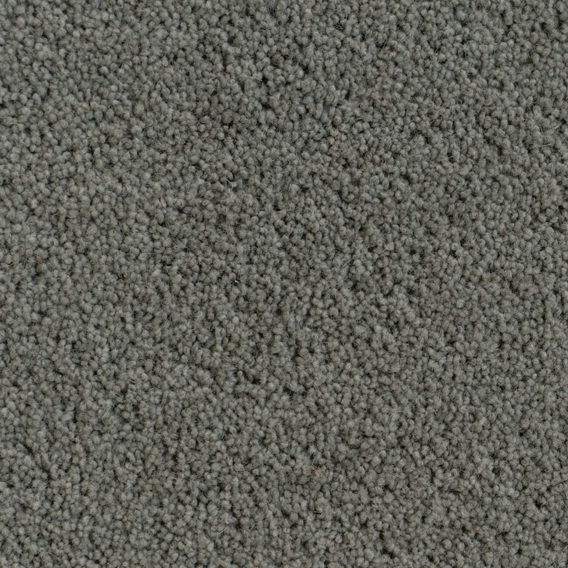Woodlands Swatch